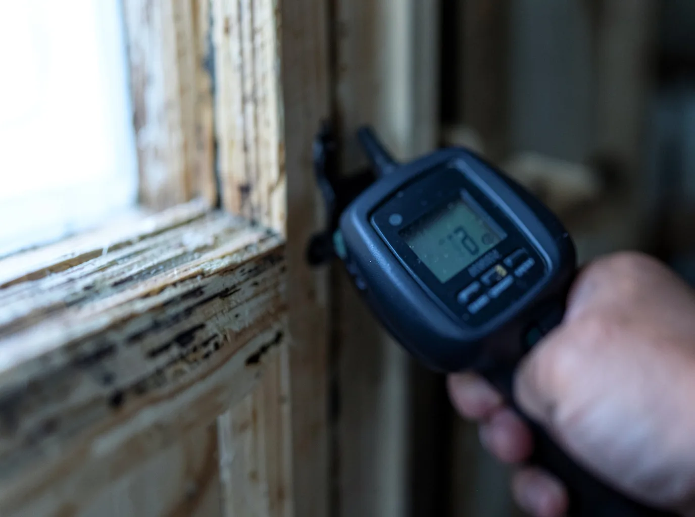 Moisture Inspection And Documentation in Delton, MI